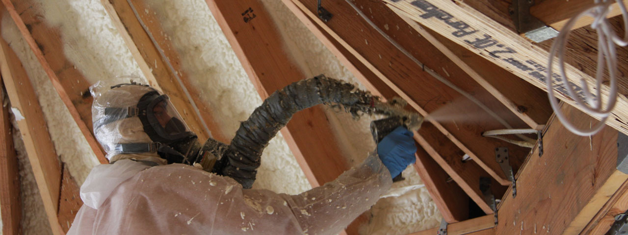 Atlanta Georgia Attic Insulation Spray Foam